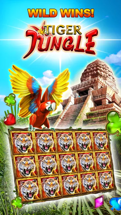 Magic Bonus Casino应用截图